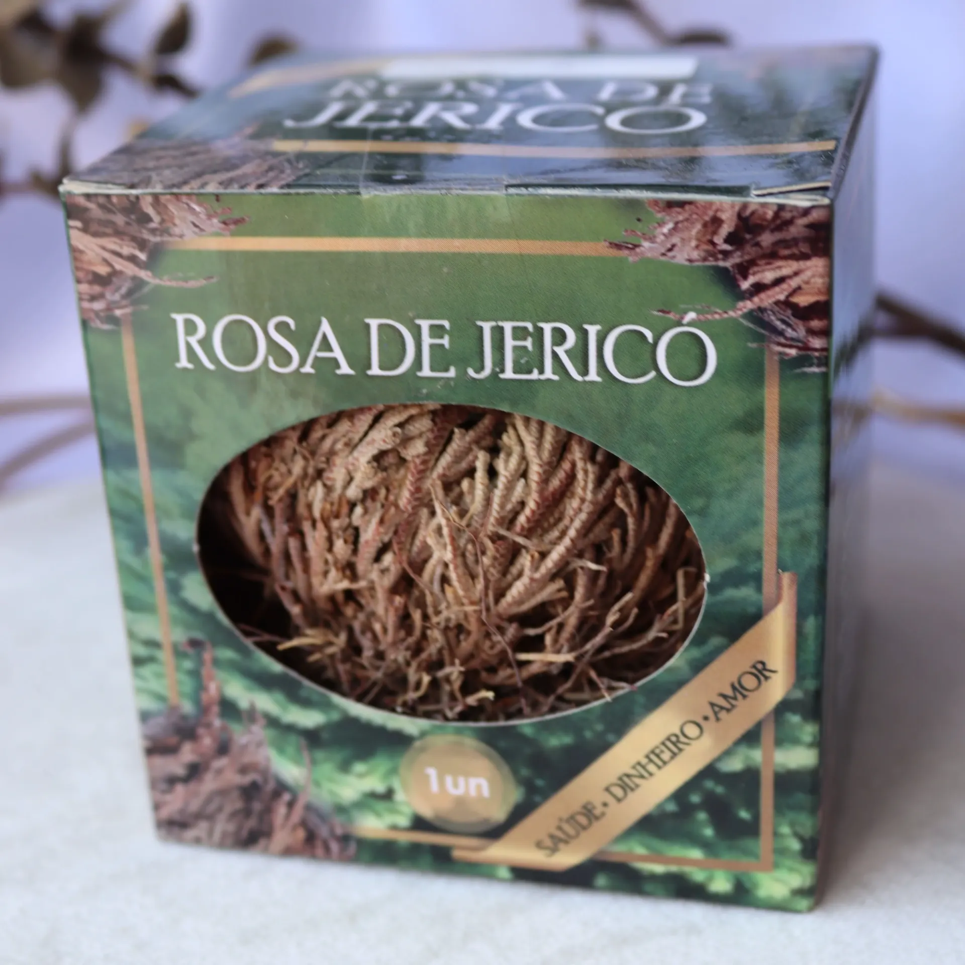 Rosa de Jericó 