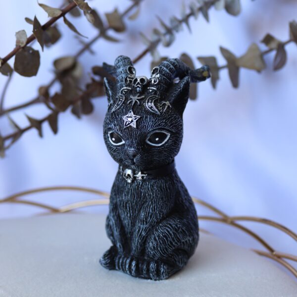 Gatos Wicca - Image 2
