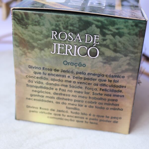 Rosa de Jericó - Image 2