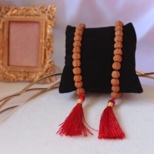 Pulseira Rudraksha